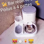 Apartmán Le Jardin Des Mazades - T2 Calme Proche Perigueux Wifi Parking & Animaux Ok