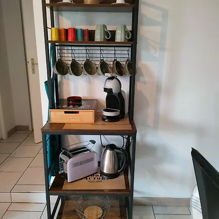 Le Jardin Des Mazades - T3 Terrasse & Parking Gratuit - Animaux Ok Apartmán Champcevinel
