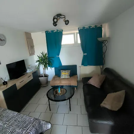 Le Jardin Des Mazades - T3 Terrasse & Parking Gratuit - Animaux Ok Champcevinel